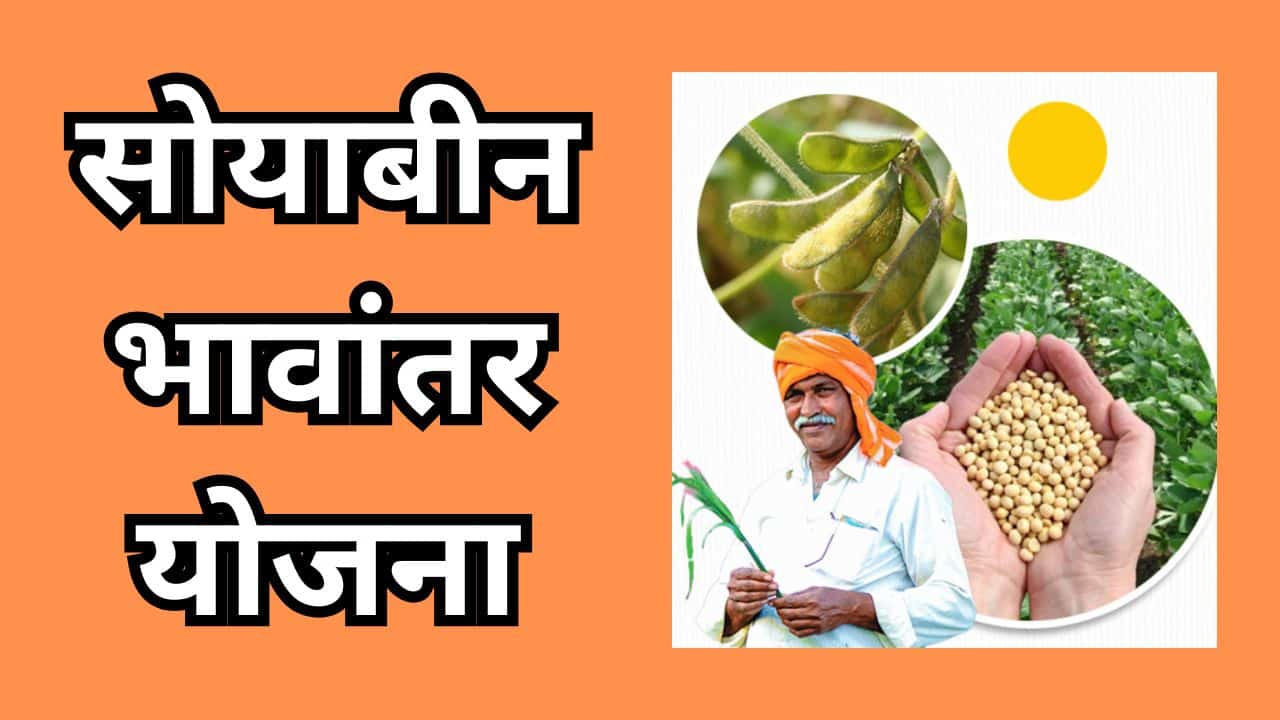 Soybean Bhavantar Yojana (2)